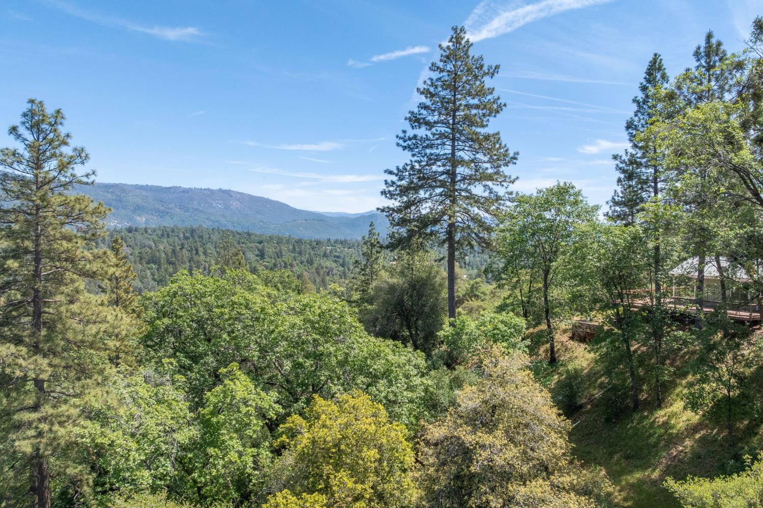 54481 Pinchot Dr, North Fork, CA 93643