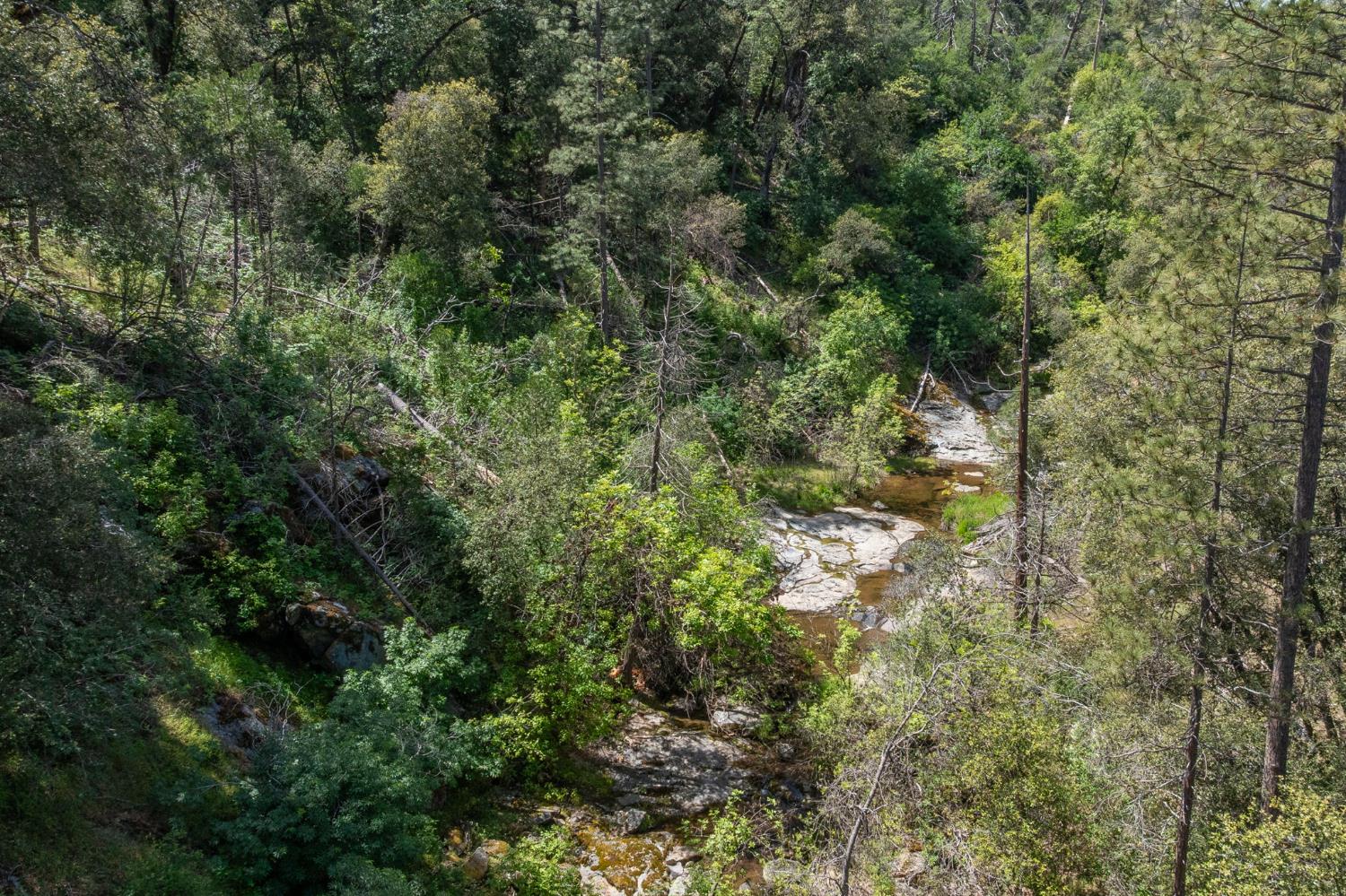 54481 Pinchot Dr, North Fork, CA 93643