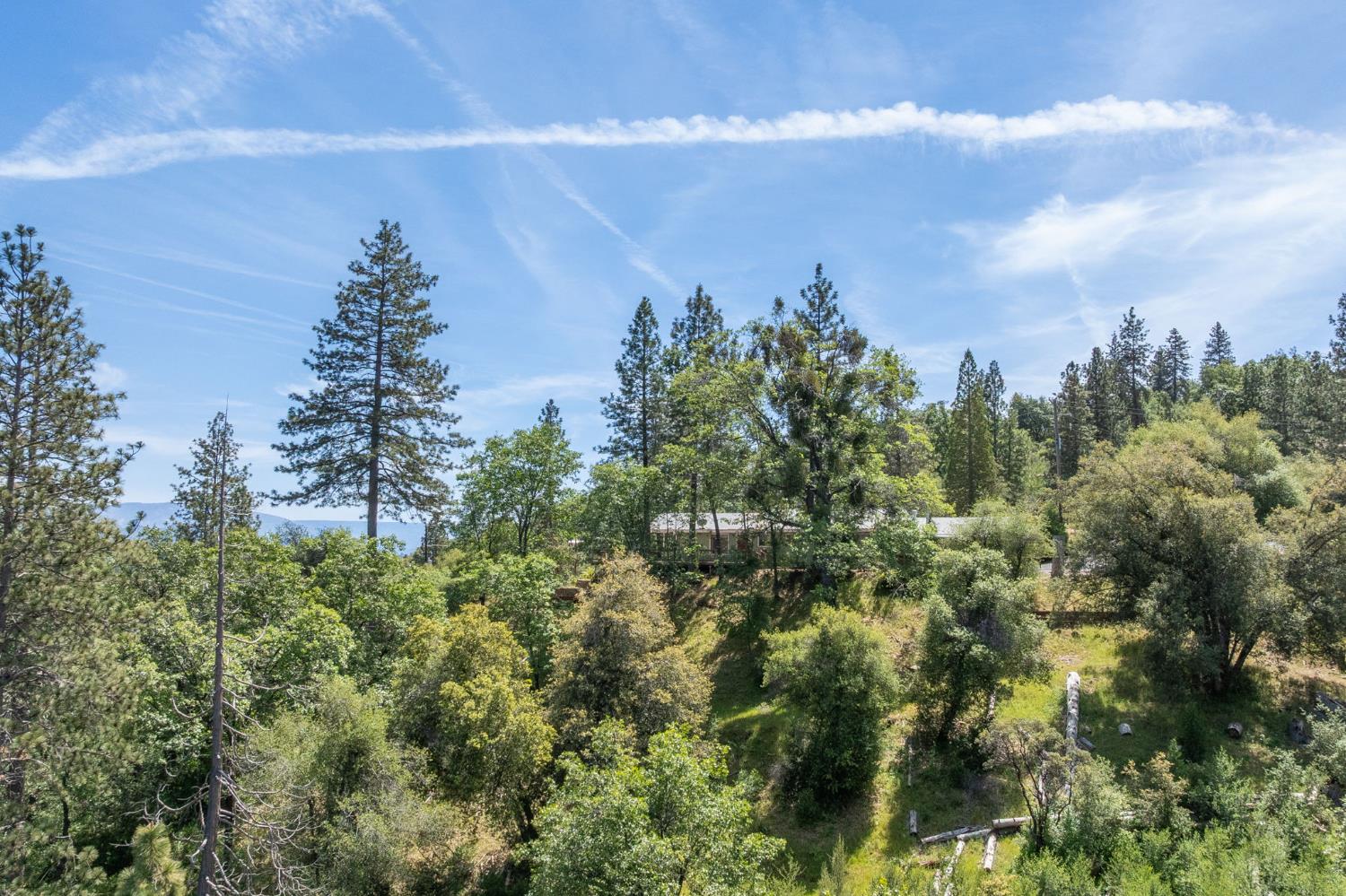 54481 Pinchot Dr, North Fork, CA 93643