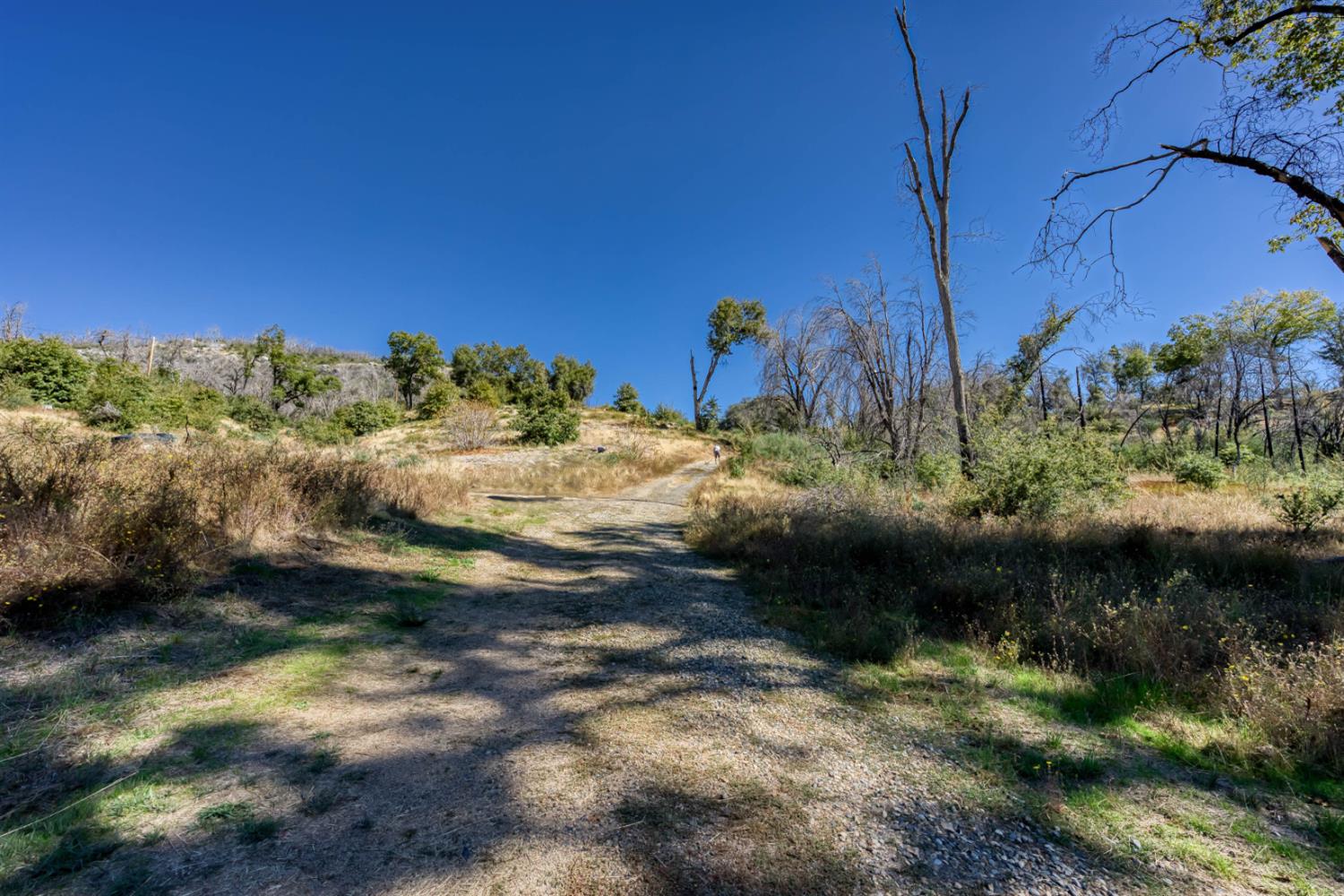 36701 Peterson Rd, Auberry, CA 93602