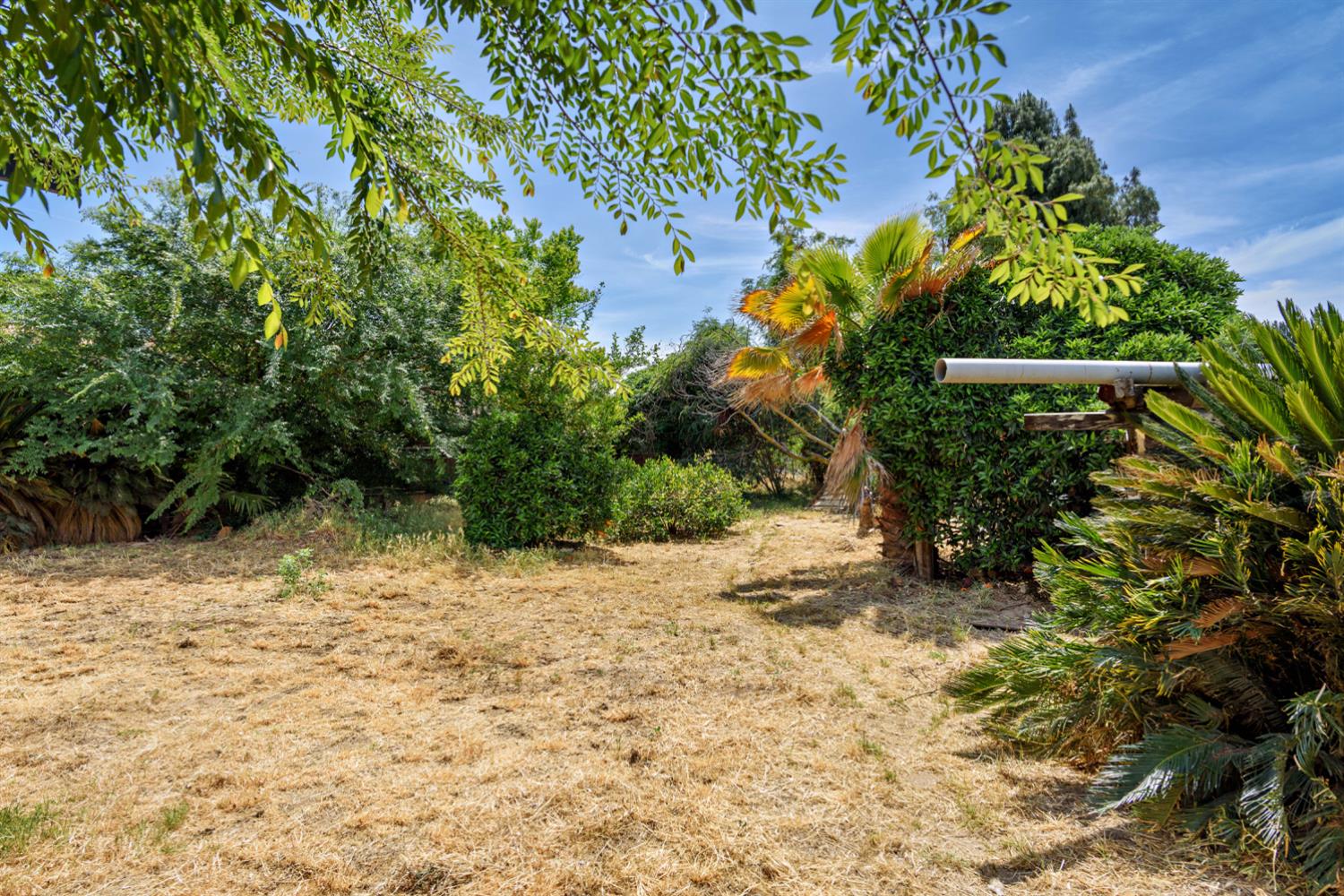 816 Roosevelt St, Kingsburg, CA 93631