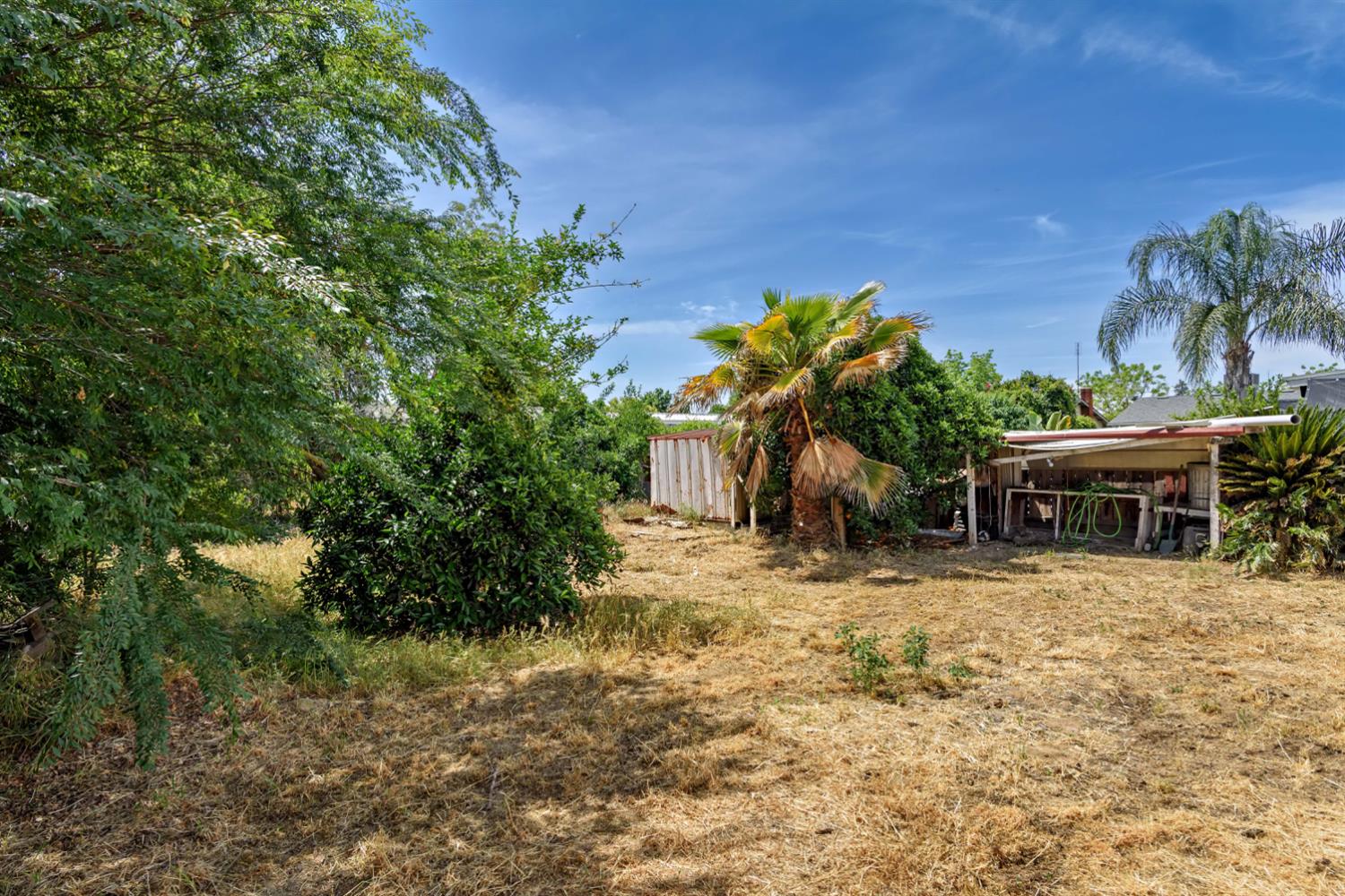 816 Roosevelt St, Kingsburg, CA 93631