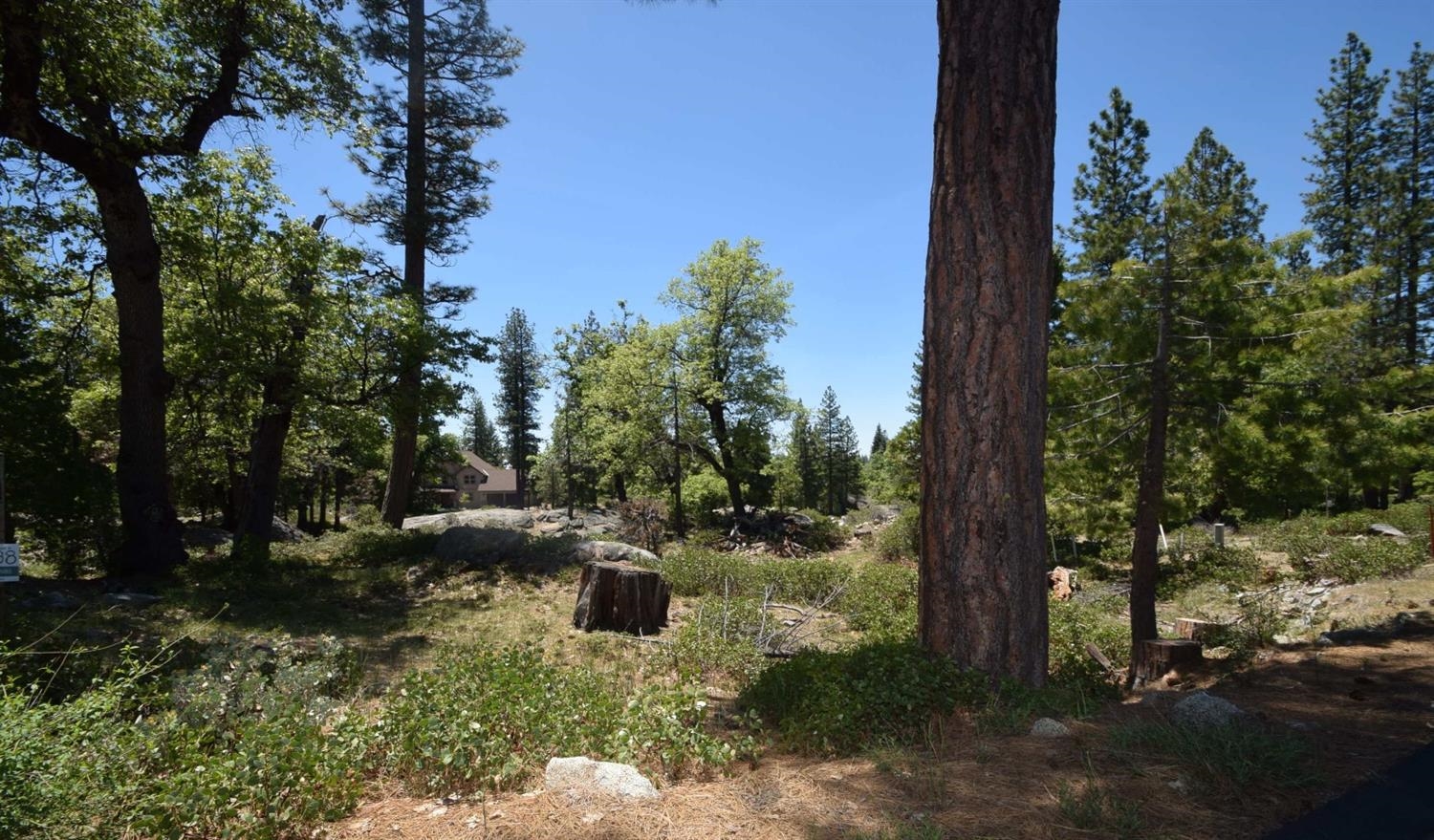 42782 Garnet Ln #lot38, Shaver Lake, CA 93664