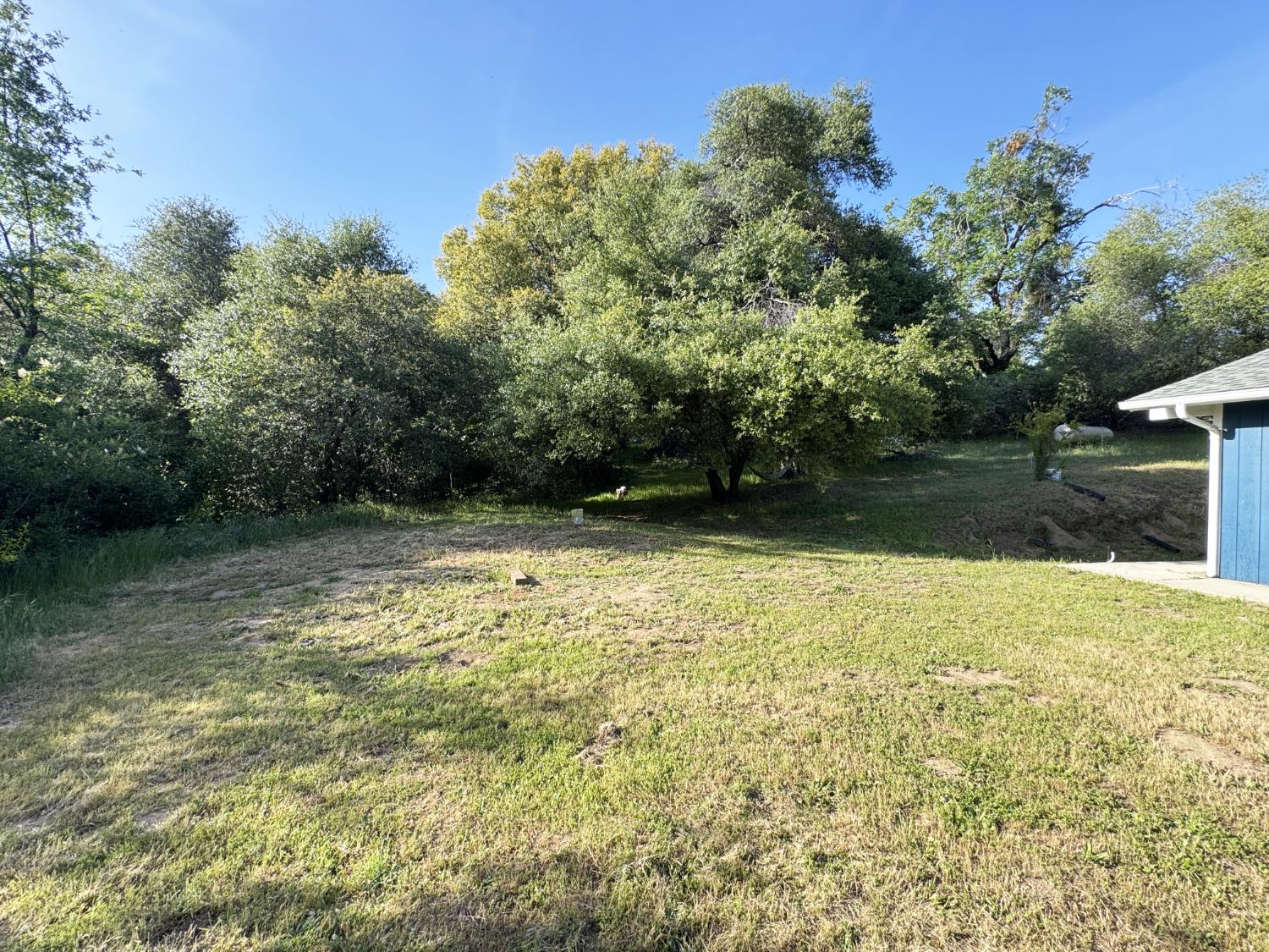 59260 Road 601, Ahwahnee, CA 93601