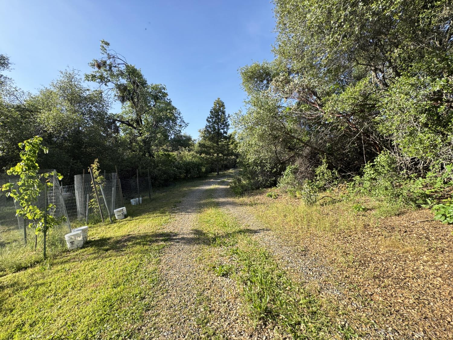 59260 Road 601, Ahwahnee, CA 93601