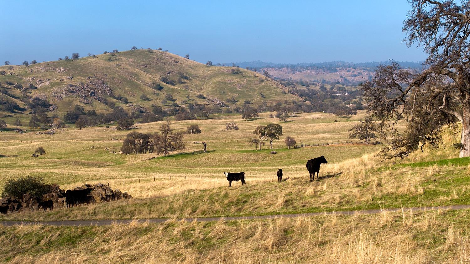 19623 Road 211, Friant, CA 93626