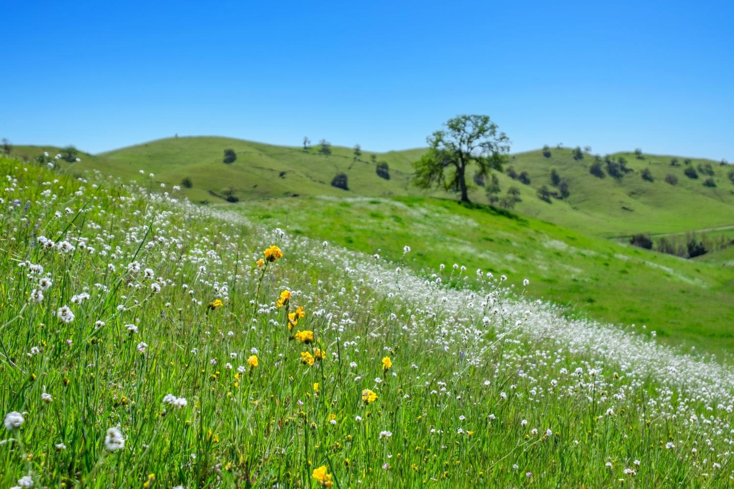 19623 Road 211, Friant, CA 93626