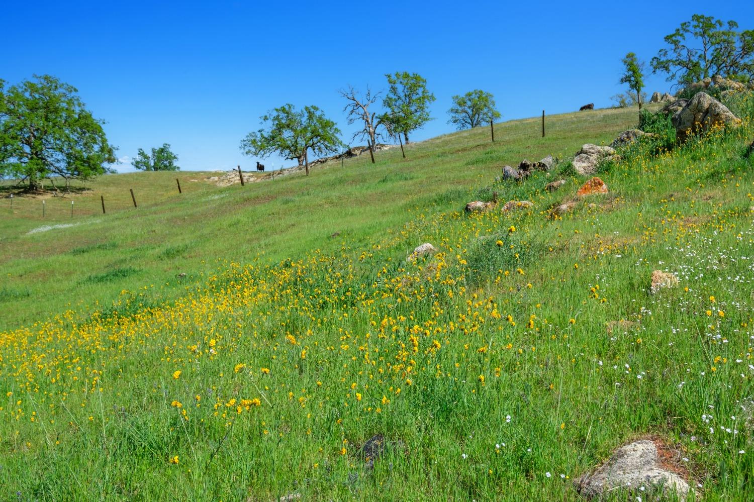 19623 Road 211, Friant, CA 93626