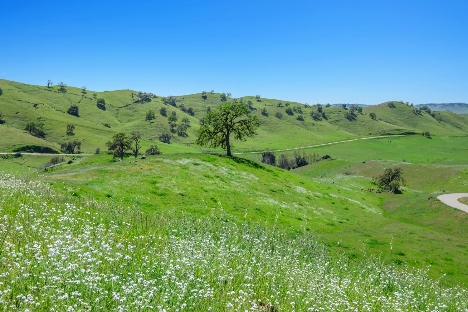 19623 Road 211, Friant, CA 93626