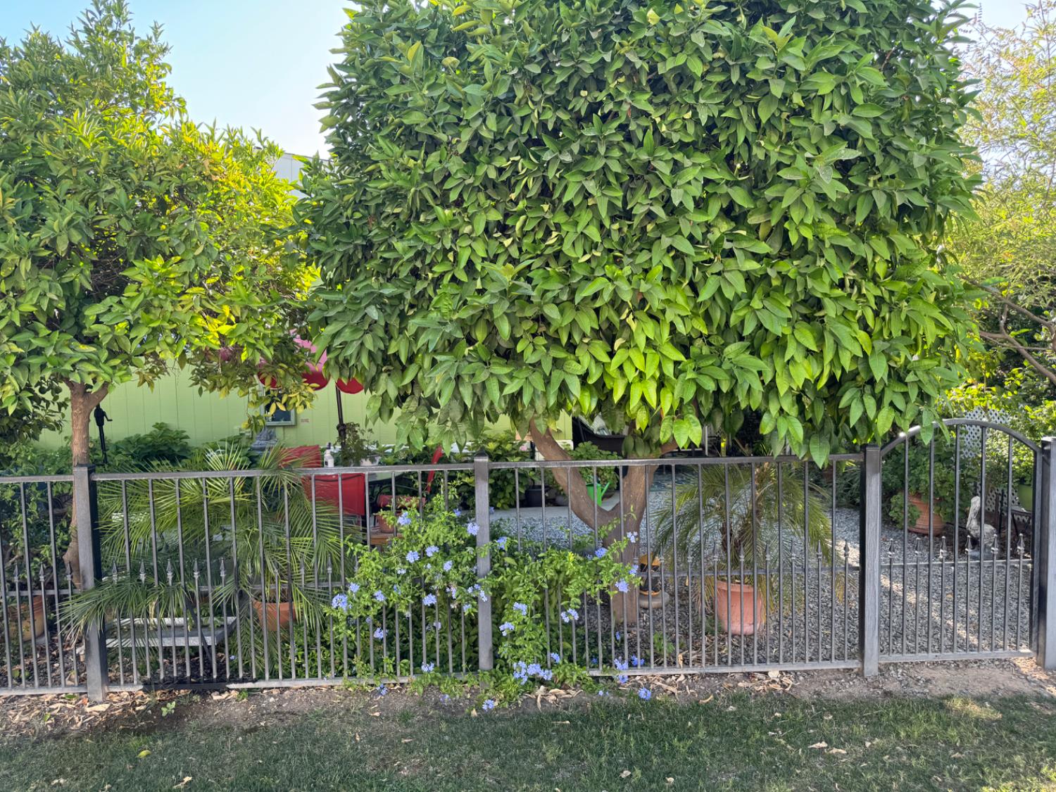 2706 W Ashlan Ave #144, Fresno, CA 93705