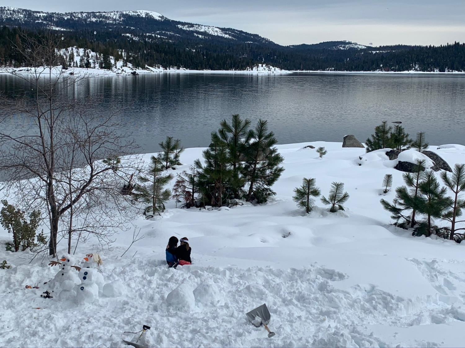 44483 Lakeview Ave, Shaver Lake, CA 93664