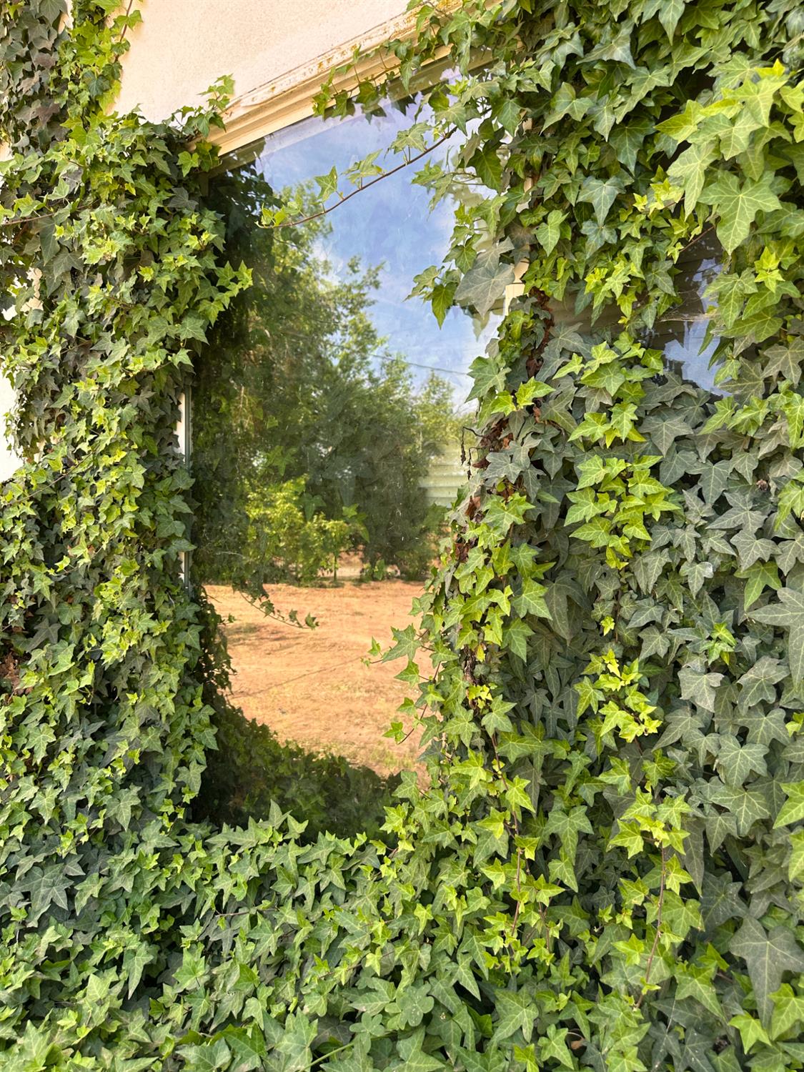 19637 E American Ave, Reedley, CA 93654