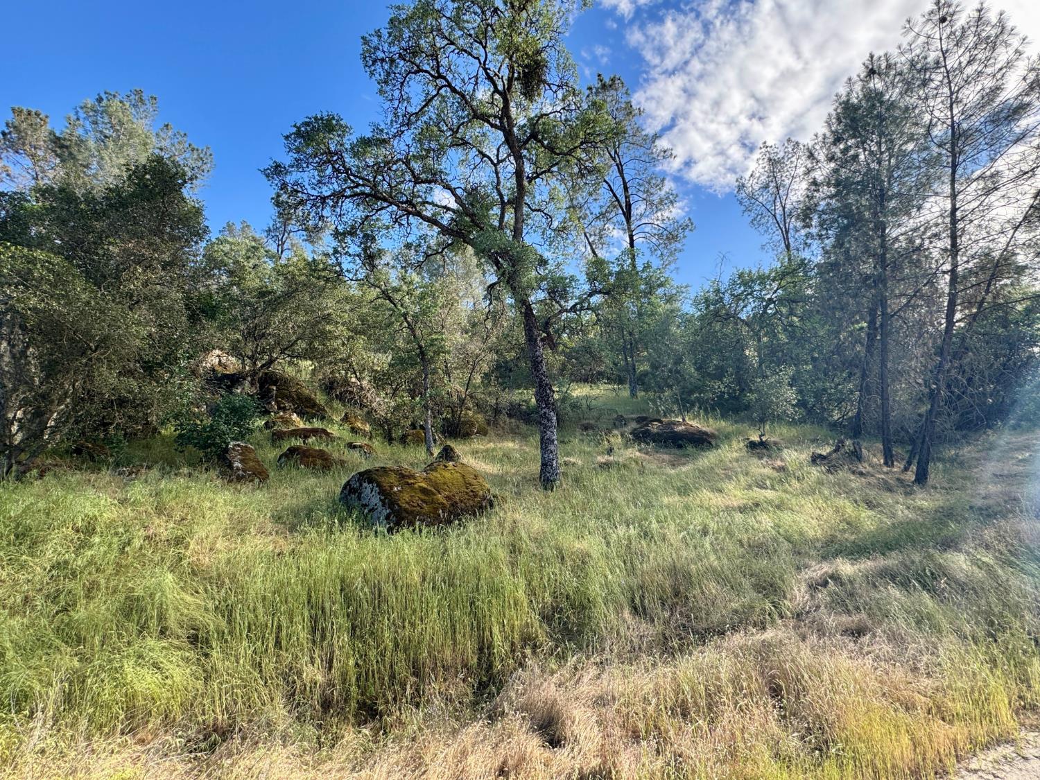 1 Road 400, Coarsegold, CA 93614