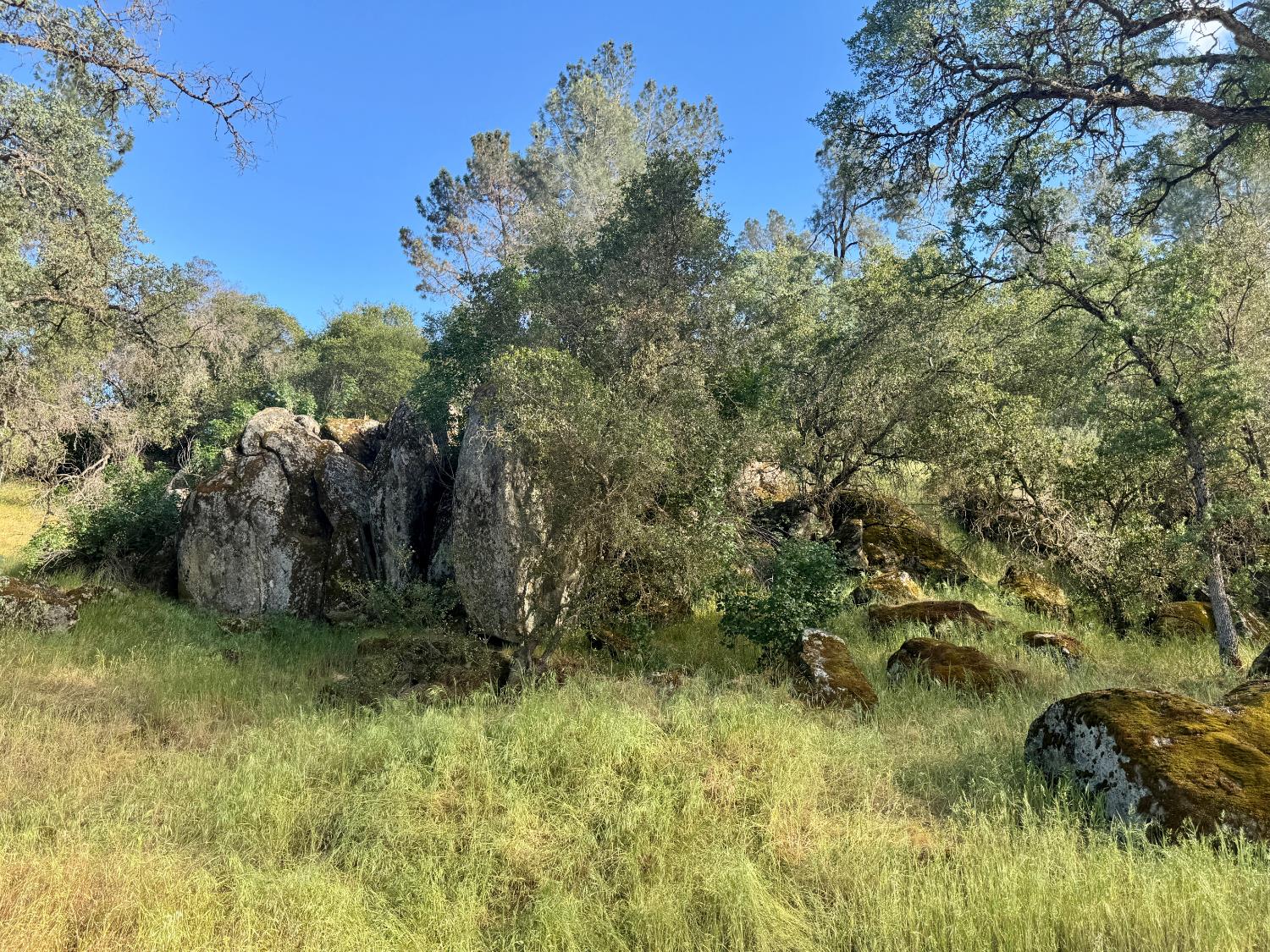 1 Road 400, Coarsegold, CA 93614