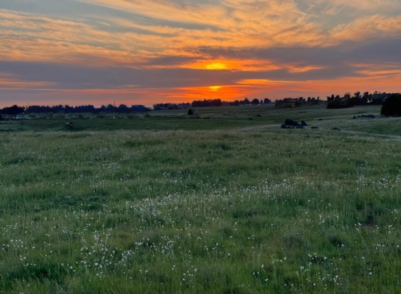 1 Shephard, Clovis, CA 93619