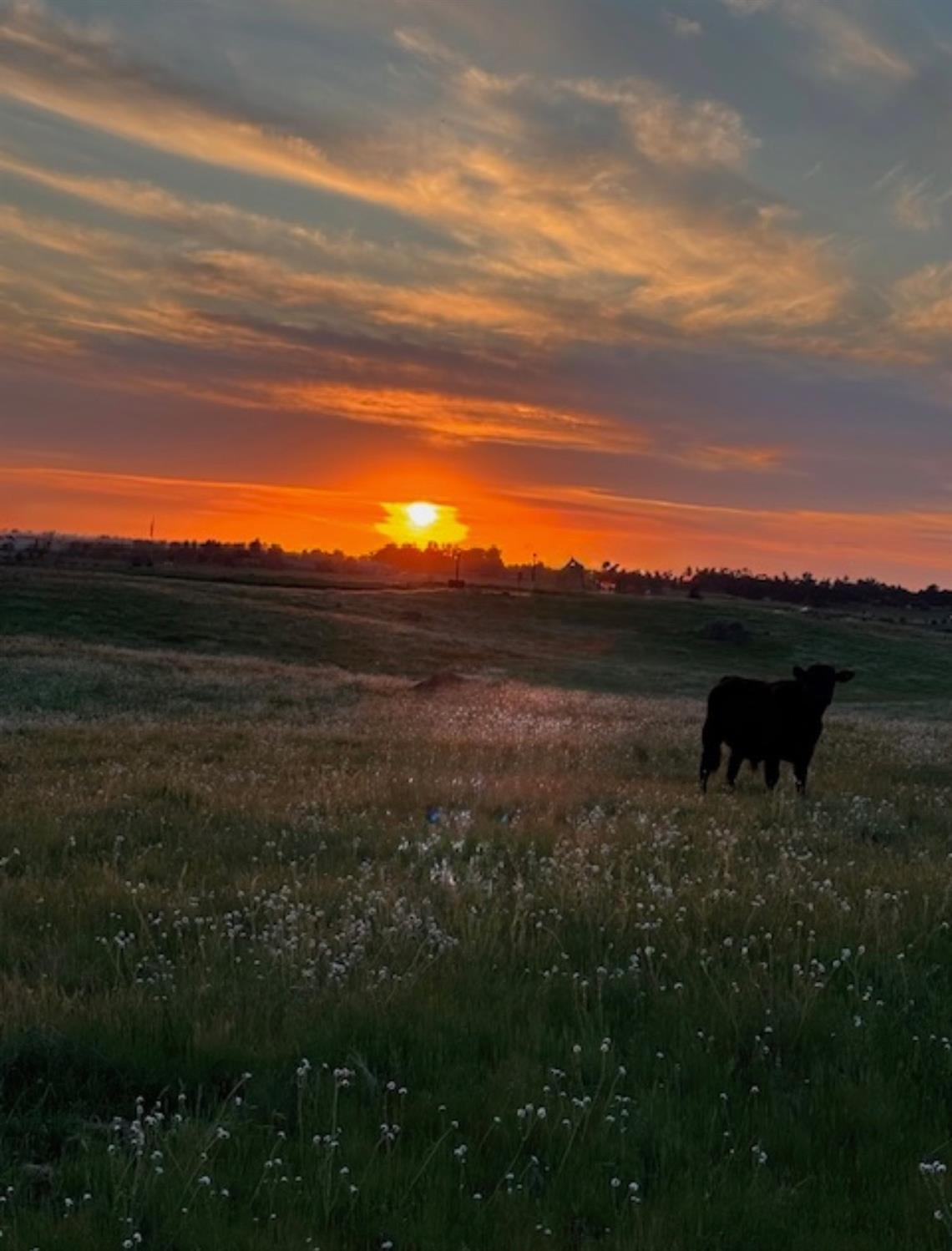 1 Shephard, Clovis, CA 93619