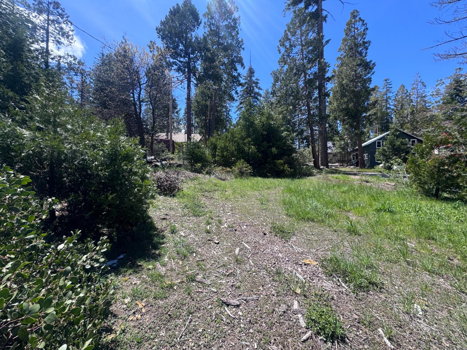 42156 Digger Ave, Shaver Lake, CA 93664
