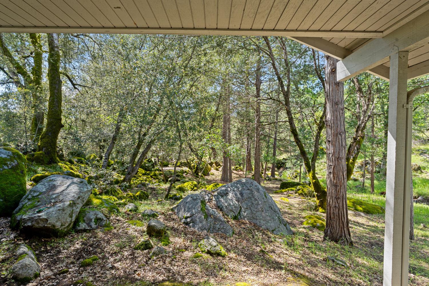 36556 Mudge Ranch Rd, Coarsegold, CA 93614