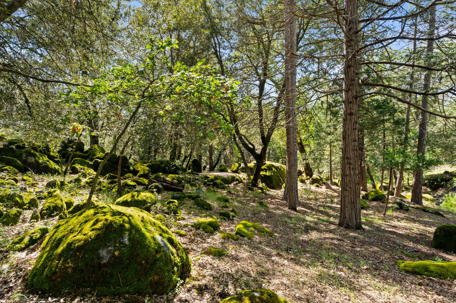 36556 Mudge Ranch Rd, Coarsegold, CA 93614