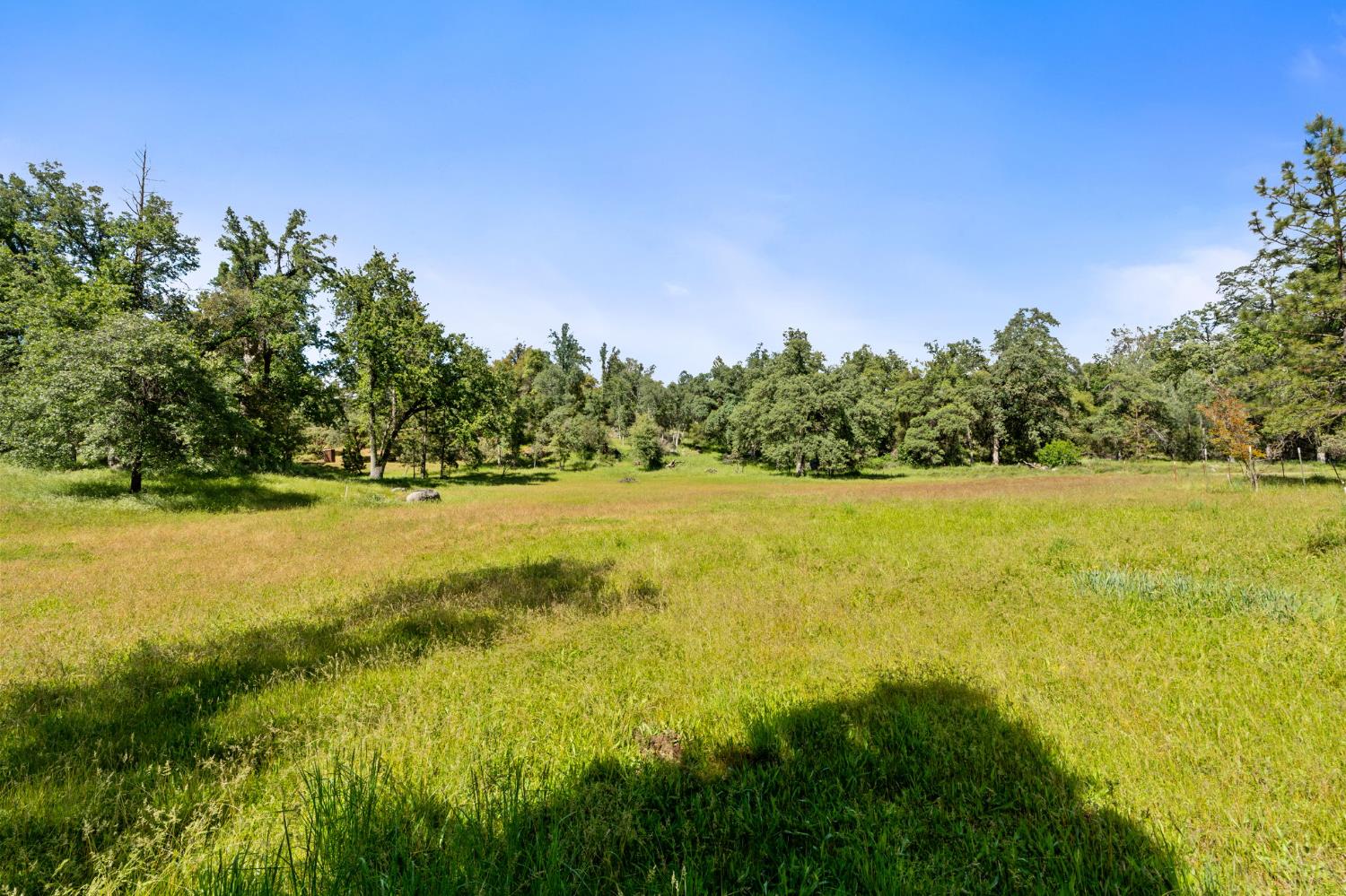 36556 Mudge Ranch Rd, Coarsegold, CA 93614