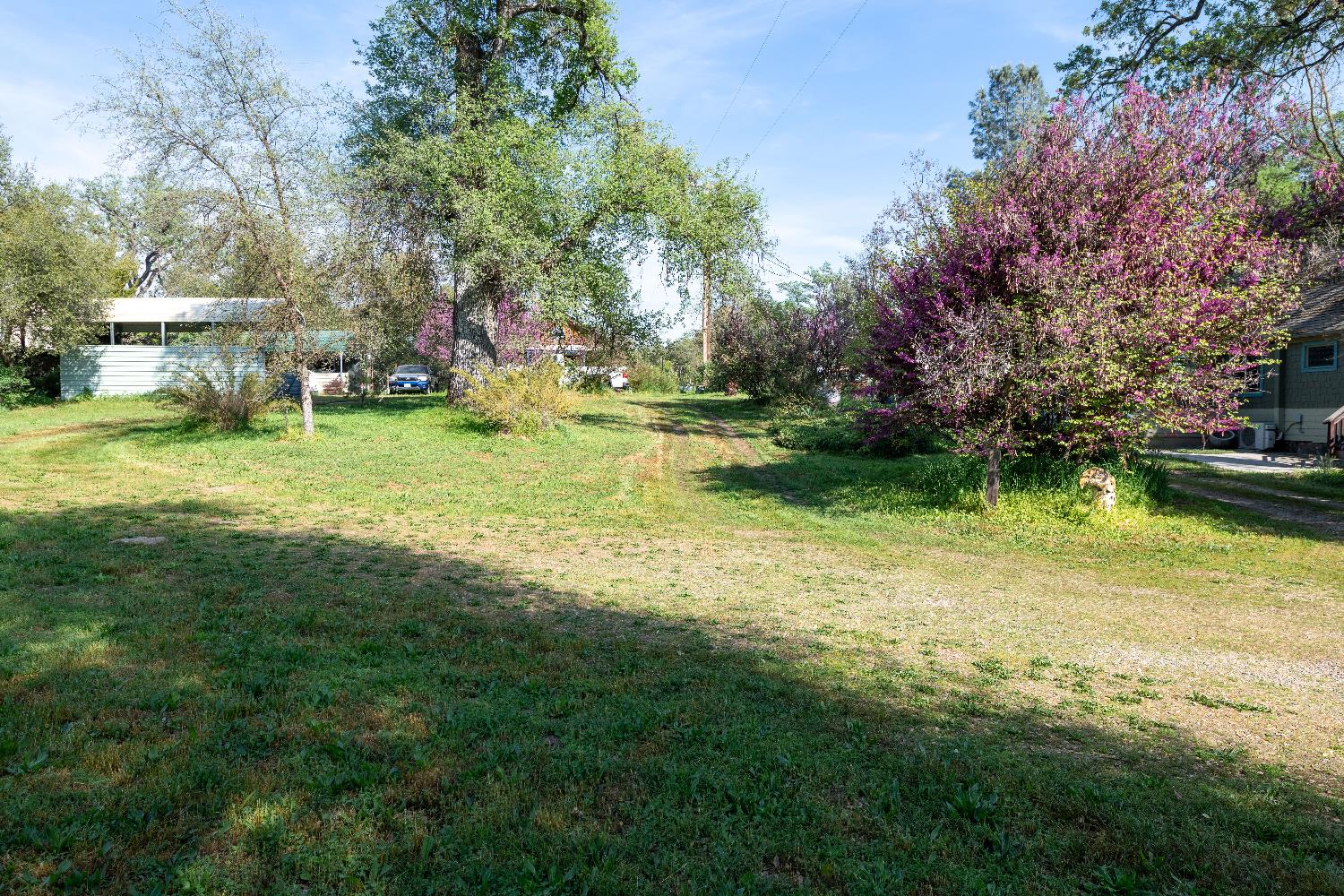 42655 Highway 49, Ahwahnee, CA 93601