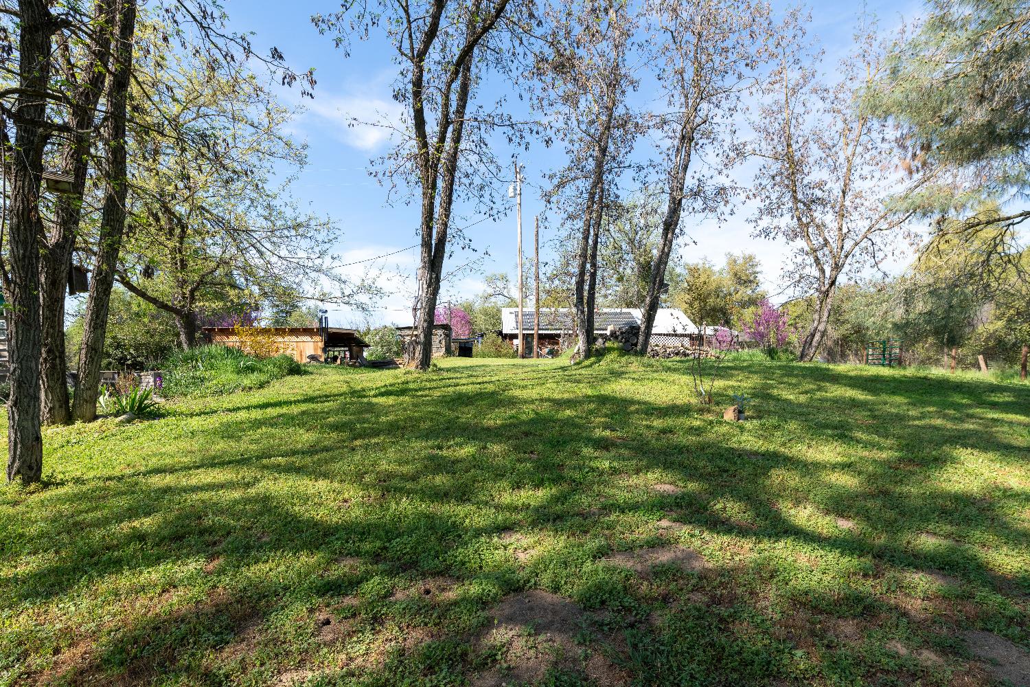 42655 Highway 49, Ahwahnee, CA 93601