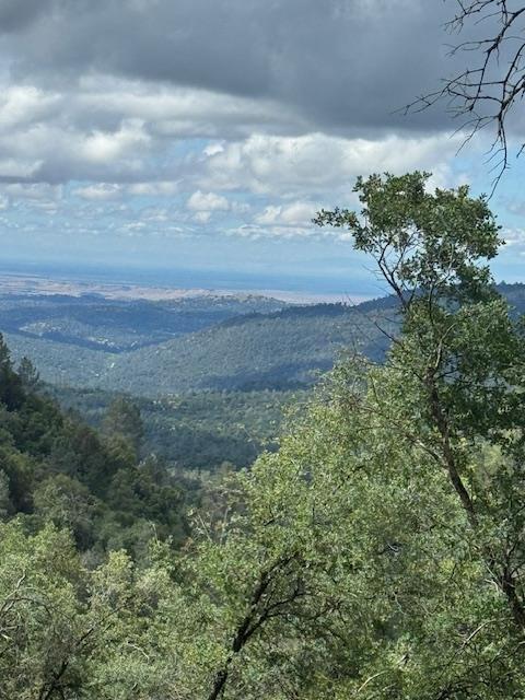 0 0 Wintergreen, North Fork, CA 93643