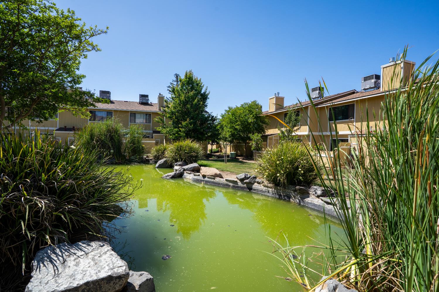 4885 N Backer Ave #128, Fresno, CA 93726