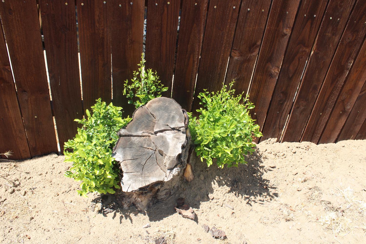 3645 E Cortland Ave, Fresno, CA 93726