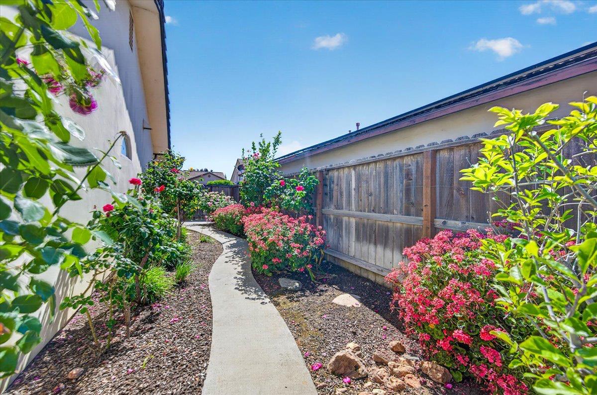 4678 W Rosetta, Fresno, CA 93722