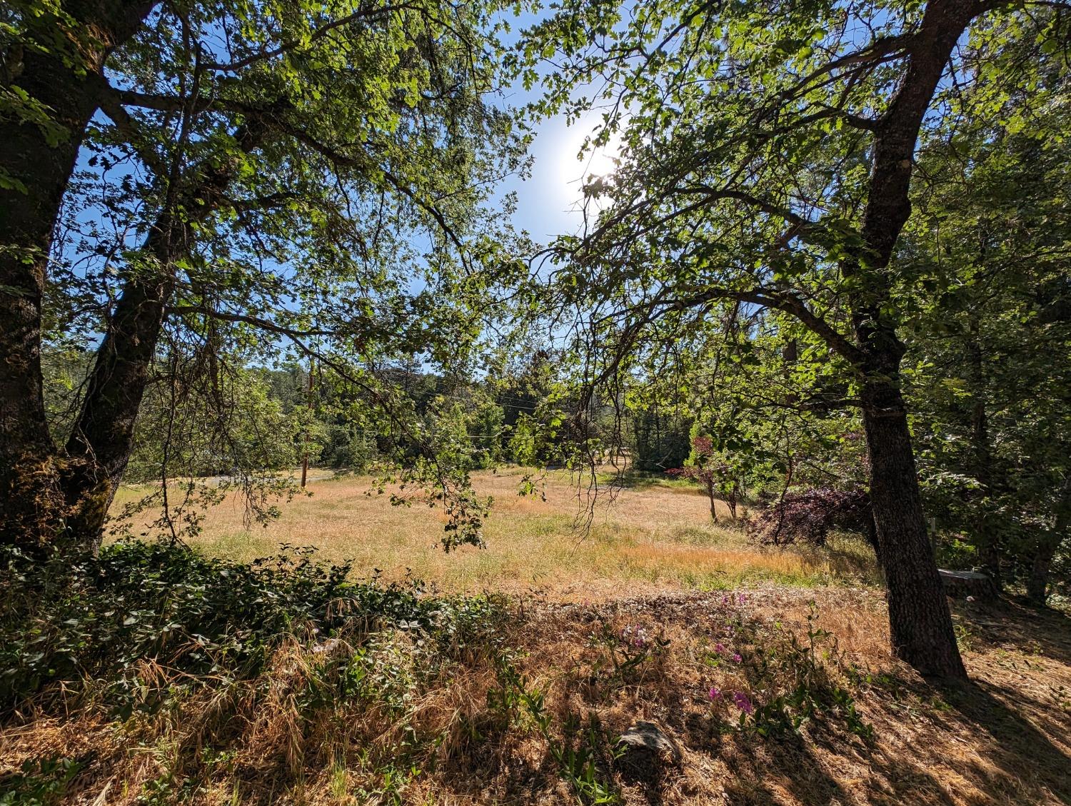 1 Road 274, Bass Lake, CA 93604