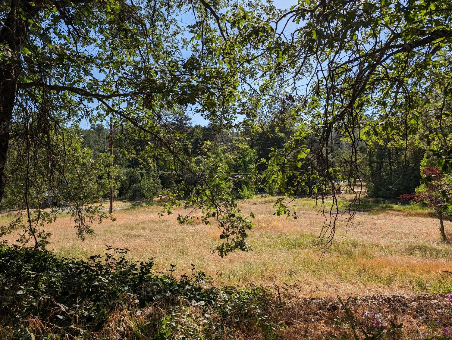 1 Road 274, Bass Lake, CA 93604