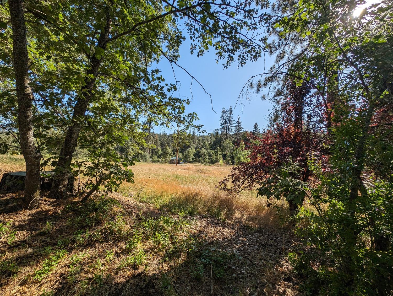 1 Road 274, Bass Lake, CA 93604