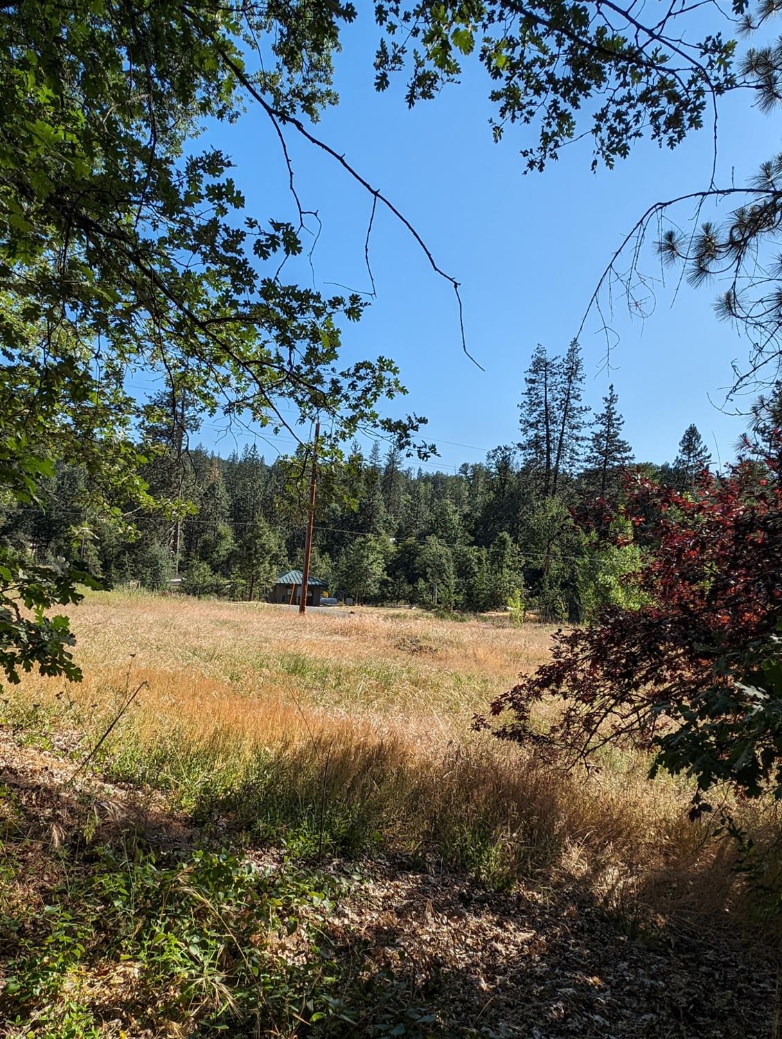 1 Road 274, Bass Lake, CA 93604