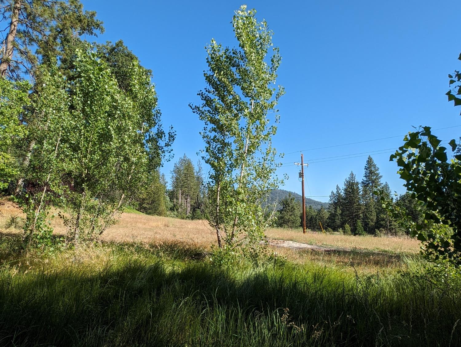 1 Road 274, Bass Lake, CA 93604