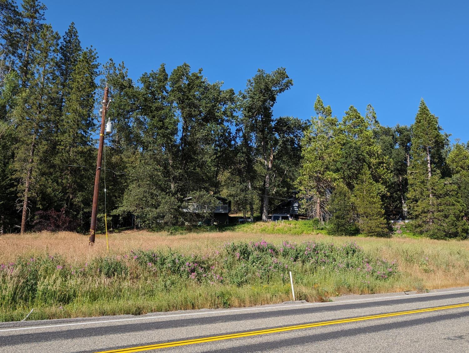 1 Road 274, Bass Lake, CA 93604
