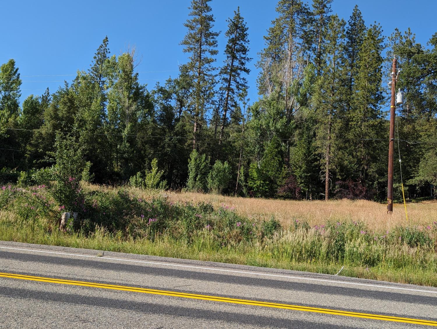 1 Road 274, Bass Lake, CA 93604