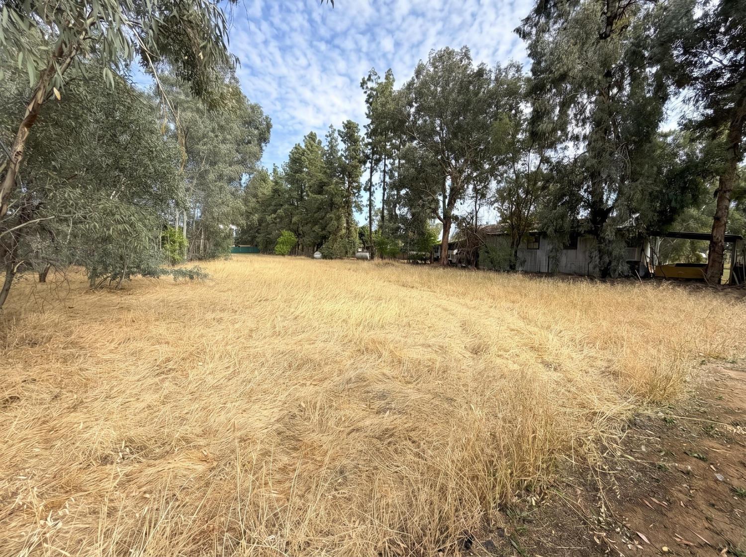 7403 E Alluvial Ave, Clovis, CA 93619