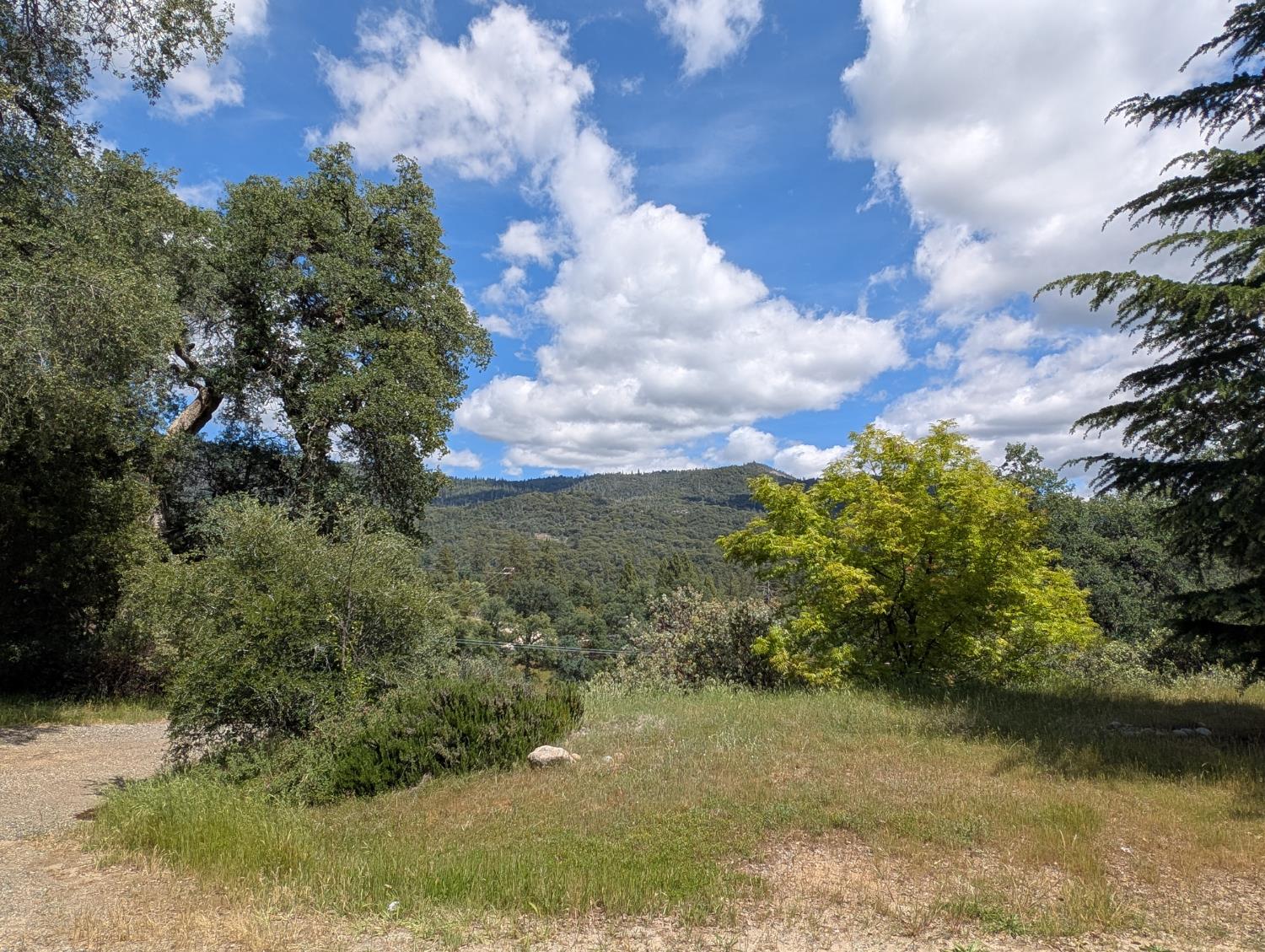 42478 Nelder Heights Dr, Oakhurst, CA 93644