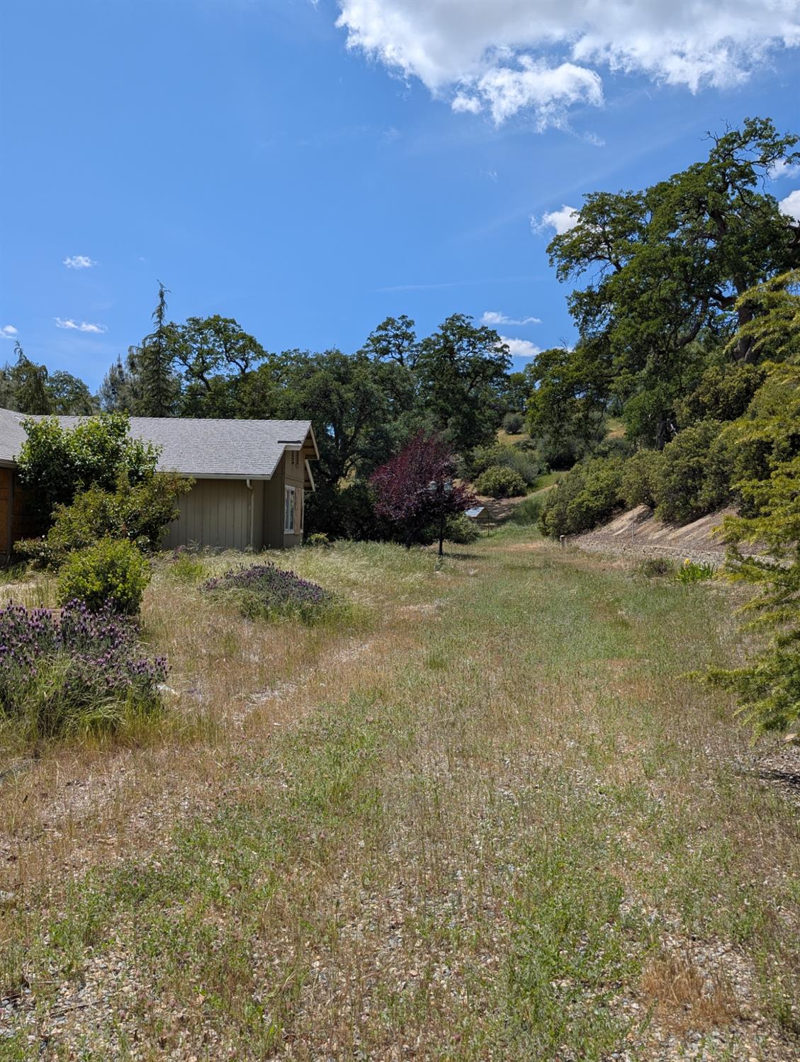 42478 Nelder Heights Dr, Oakhurst, CA 93644