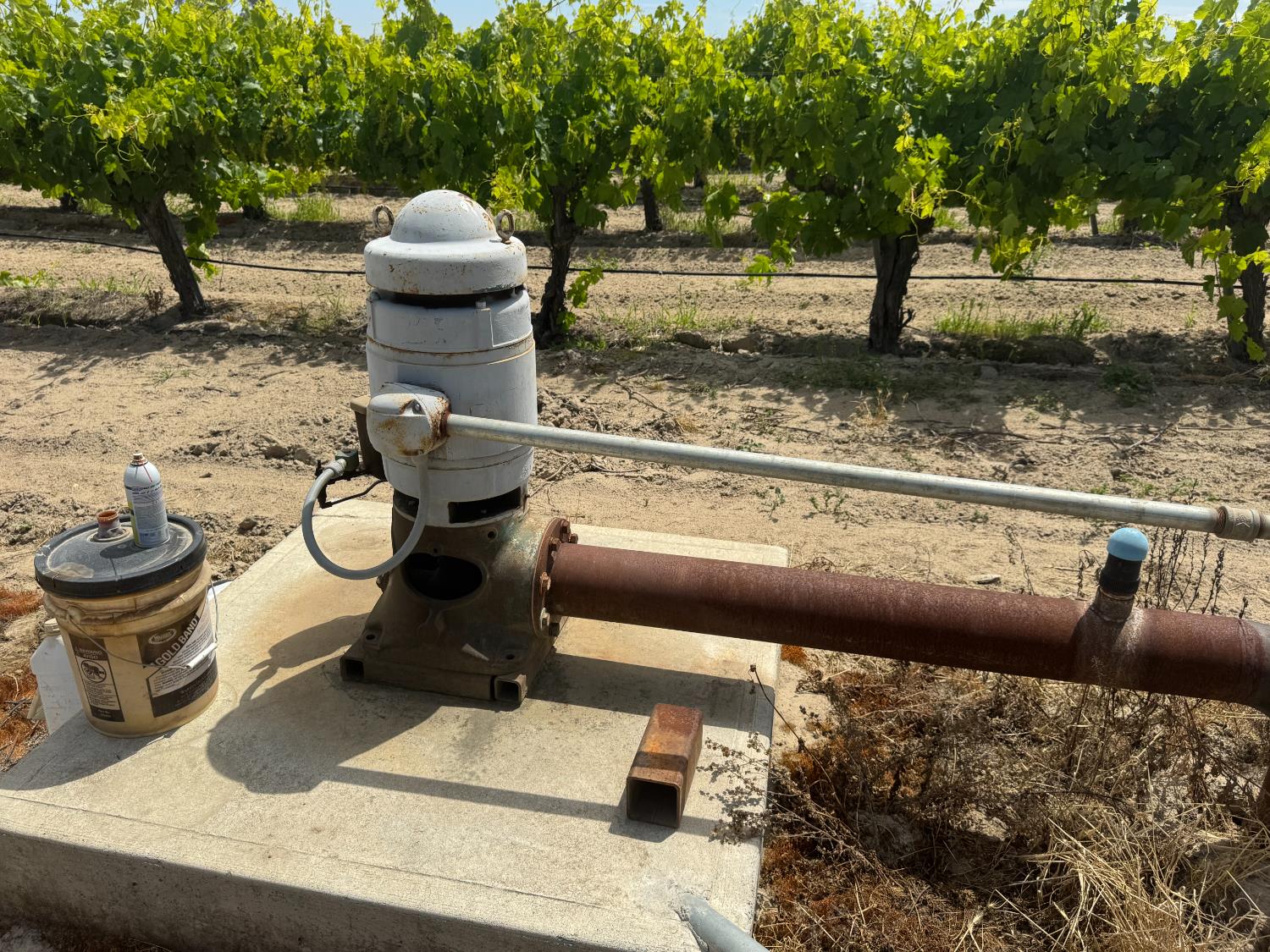 1091 W Caruthers Ave, Caruthers, CA 93609