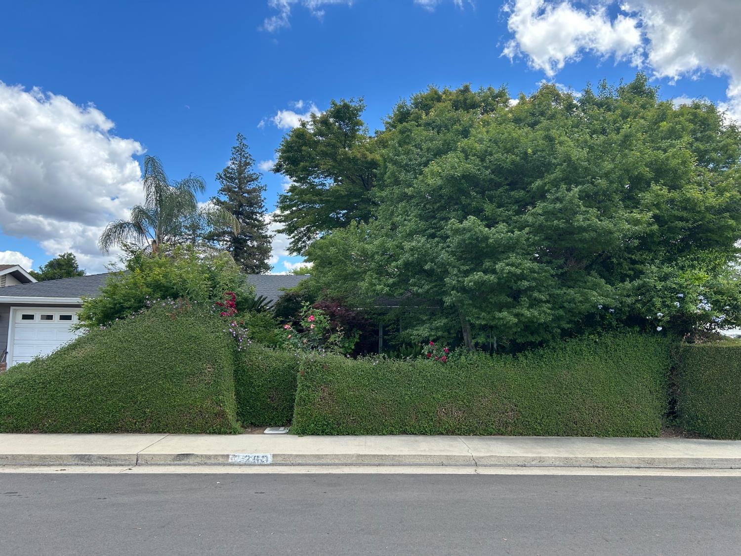 2360 23rd Ave, Kingsburg, CA 93631