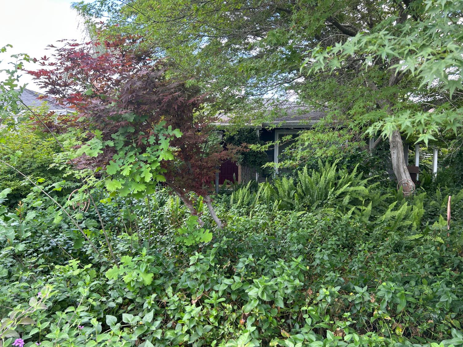 2360 23rd Ave, Kingsburg, CA 93631