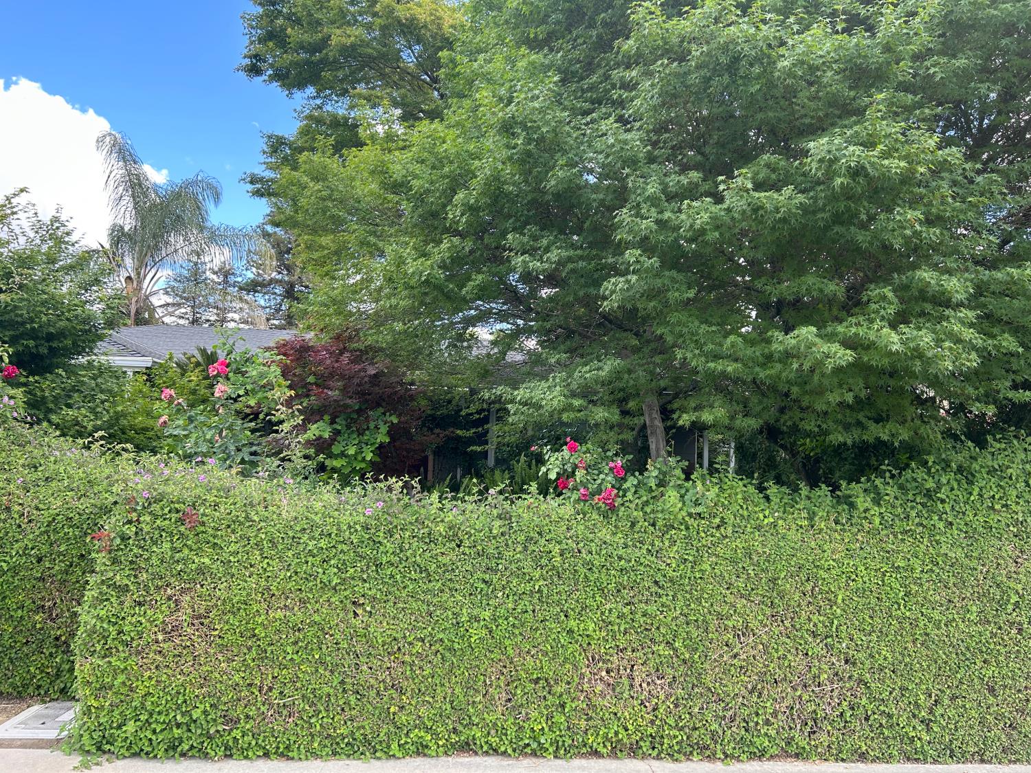 2360 23rd Ave, Kingsburg, CA 93631