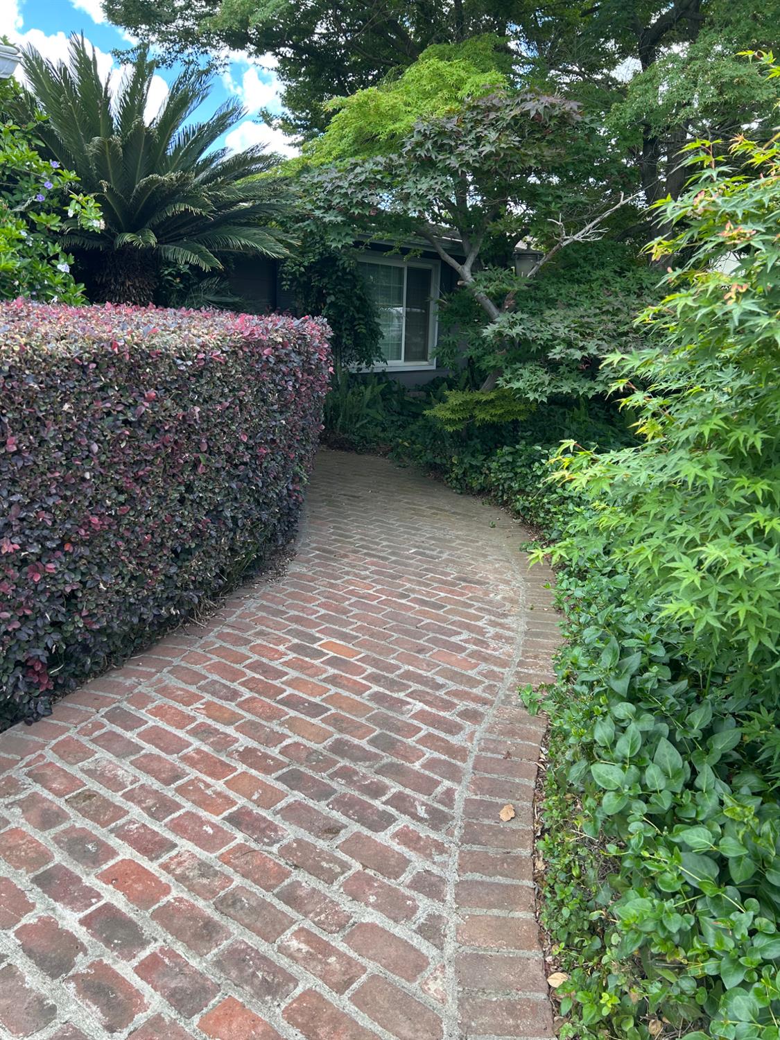 2360 23rd Ave, Kingsburg, CA 93631