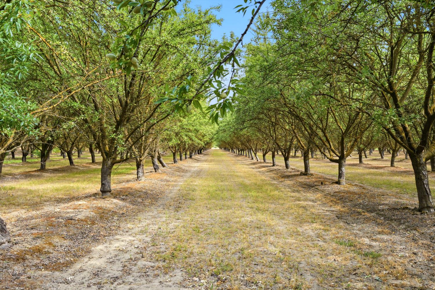 5308 E Mount Whitney Ave, Laton, CA 93242