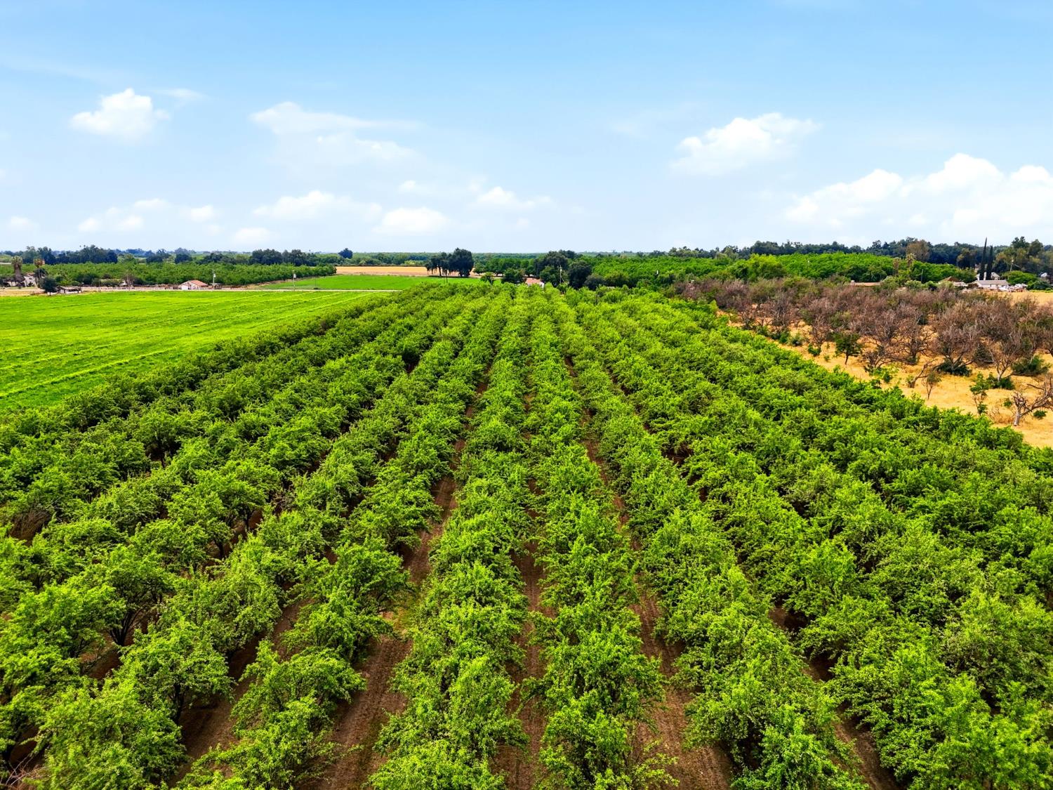 5308 E Mount Whitney Ave, Laton, CA 93242