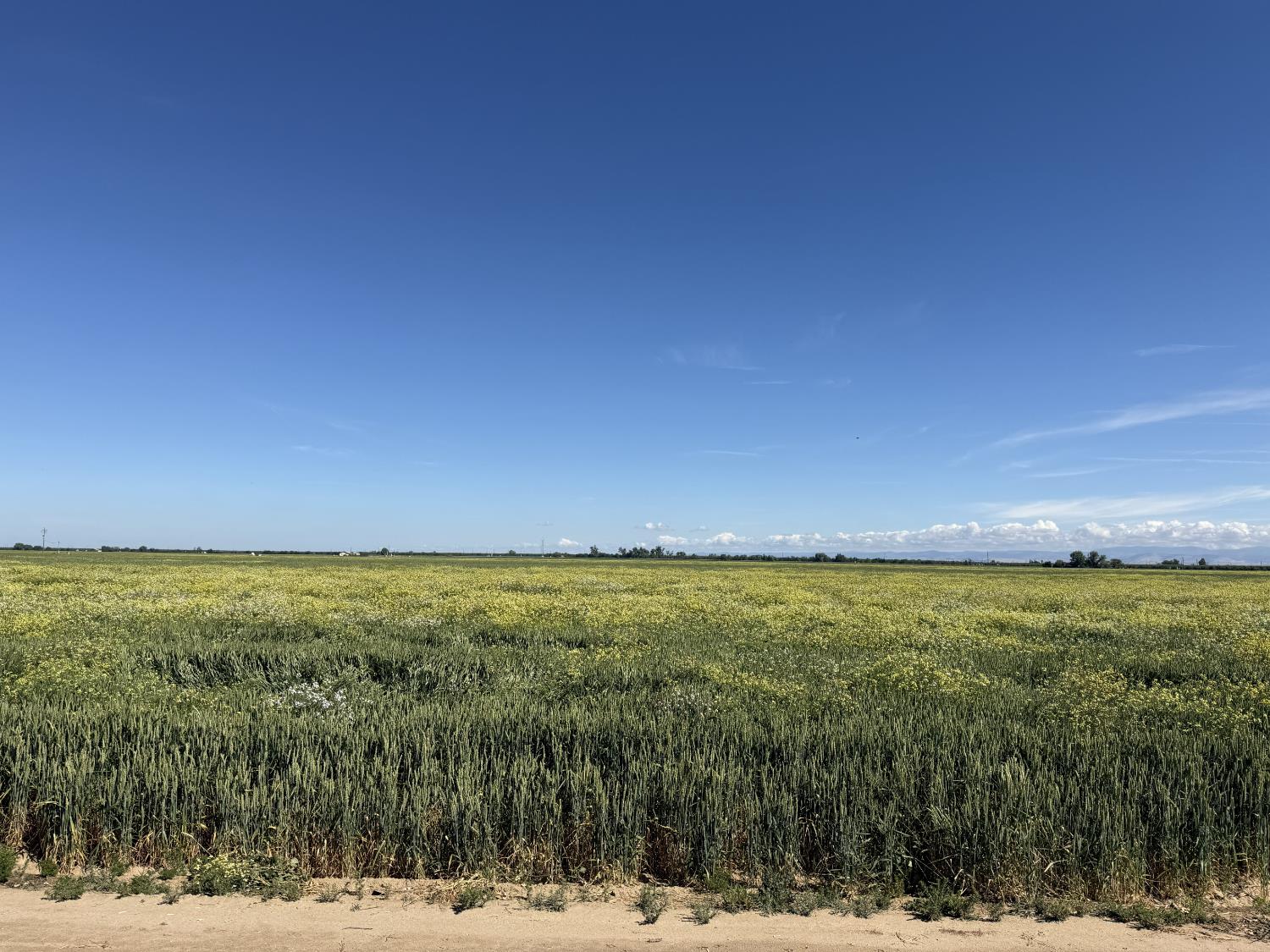 8841 Cross Road, Chowchilla, CA 93610