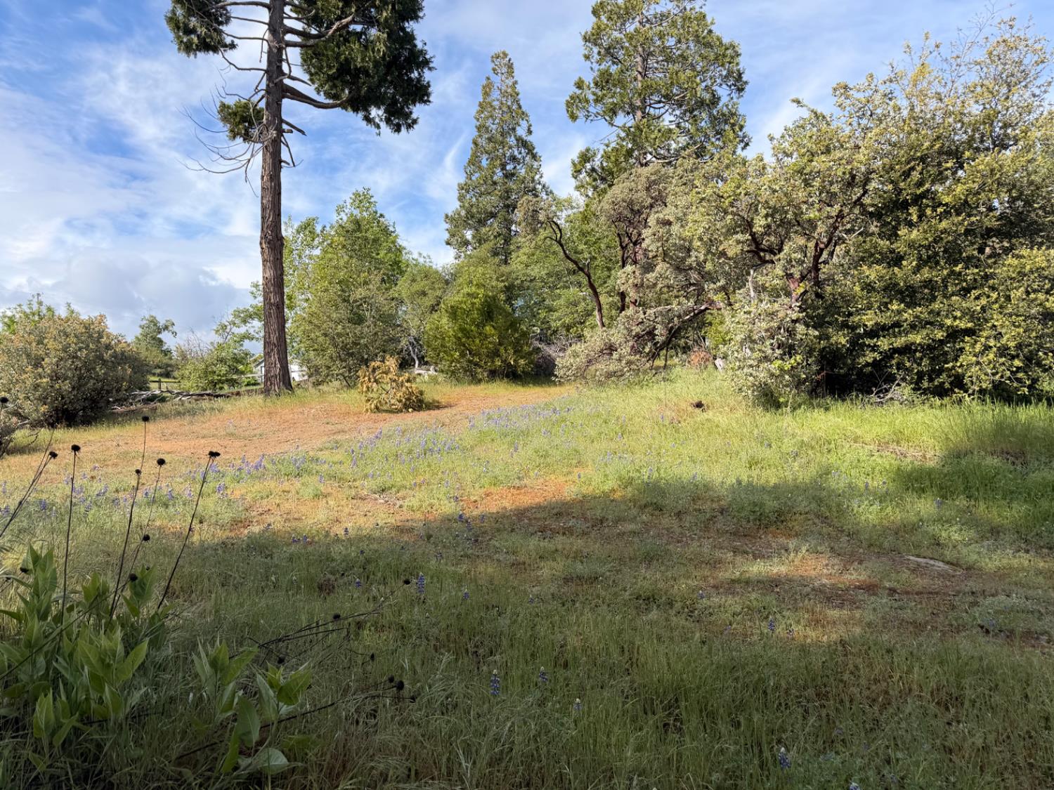 29 Manzanita Dr, Oakhurst, CA 93644