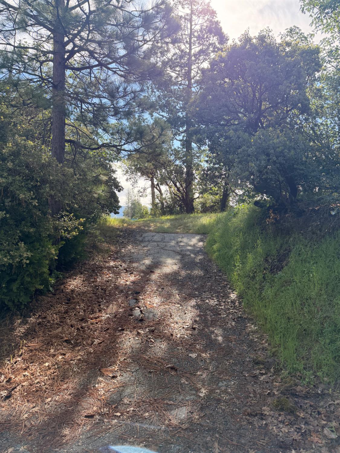 29 Manzanita Dr, Oakhurst, CA 93644